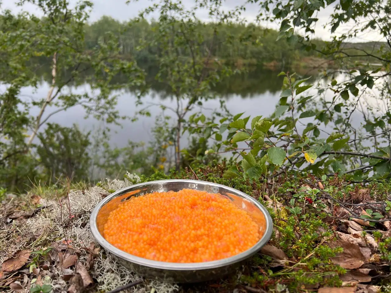 Рыбалка5